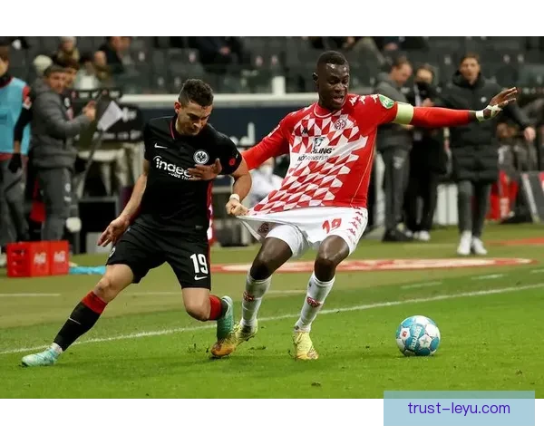 美因茨05俱乐部崛起之路与德甲赛场新篇章球队文化发展战略全景解析