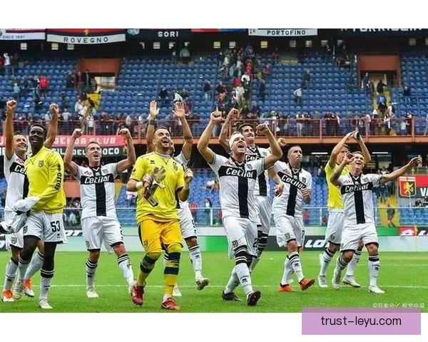 维罗纳俱乐部崛起之路：从意甲保级队到欧洲赛场的强劲挑战